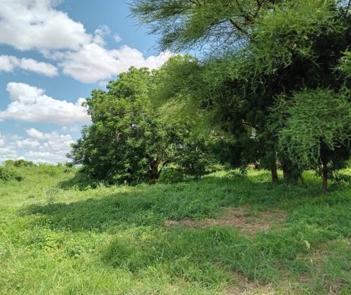 WhatsApp Image 2024-04-23 at 6.06.30 PM